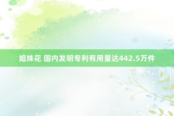 姐妹花 国内发明专利有用量达442.5万件