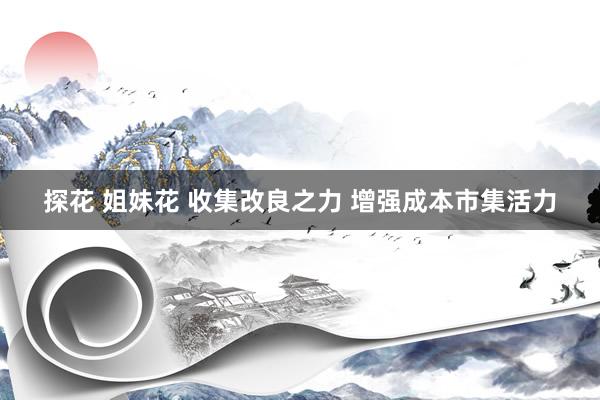 探花 姐妹花 收集改良之力 增强成本市集活力