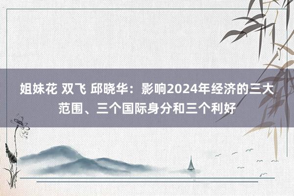 姐妹花 双飞 邱晓华：影响2024年经济的三大范围、三个国际身分和三个利好