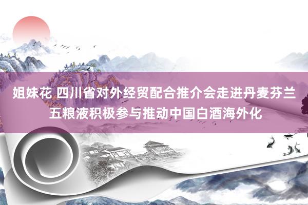 姐妹花 四川省对外经贸配合推介会走进丹麦芬兰 五粮液积极参与推动中国白酒海外化