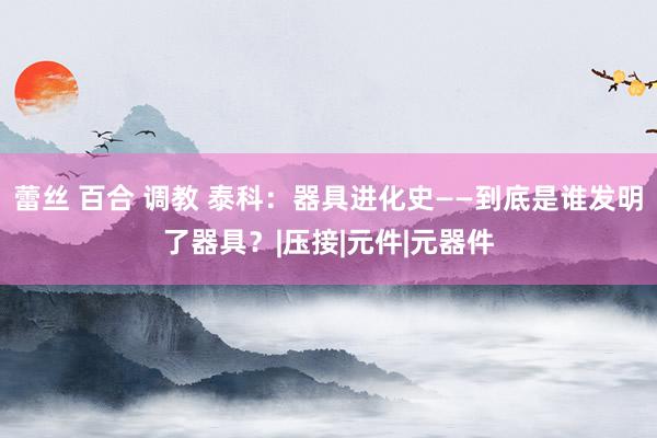 蕾丝 百合 调教 泰科：器具进化史——到底是谁发明了器具？|压接|元件|元器件