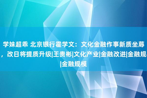 学妹超乖 北京银行霍学文：文化金融作事新质坐蓐力，改日将提质升级|王贵彬|文化产业|金融改进|金融规模