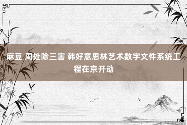 麻豆 周处除三害 韩好意思林艺术数字文件系统工程在京开动