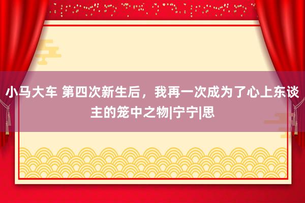 小马大车 第四次新生后，我再一次成为了心上东谈主的笼中之物|宁宁|思